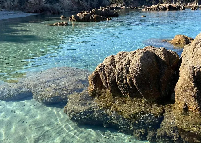 Le Francorsicat Apartmán *